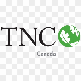 Rent Clipart Financial Support - Nature Conservancy Tnc, HD Png Download - amway logo png