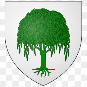Tree, HD Png Download - weeping willow png