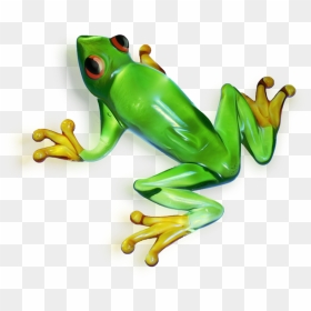 Frog Clipart Picture - Tree Frog Transparent Background, HD Png Download - tree frog png