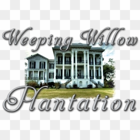 Nottoway Plantation, HD Png Download - weeping willow png