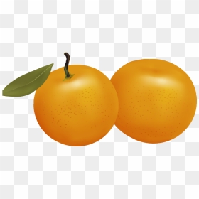 Seedless Fruit, HD Png Download - diet png