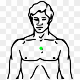 Body Chest Clipart - Chest Clipart Black And White, HD Png Download - chalk outline png