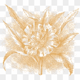 Portable Network Graphics, HD Png Download - jasmine flower png