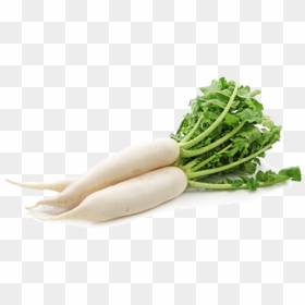 Mooli Png Transparent Image - Vegetables Radish, Png Download - radish png