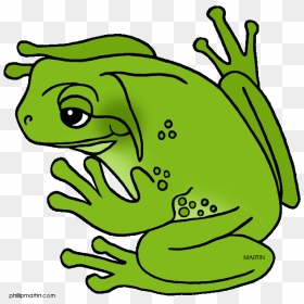 Green Frog Clipart Cool Frog - Green Tree Frog Clipart, HD Png Download - tree frog png