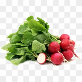 Radish Png Photos - Radish Png, Transparent Png - radish png