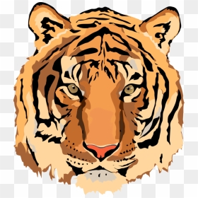 Tiger Vector - Clipart Library - Clip Art Library Tiger, HD Png Download - roaring tiger png