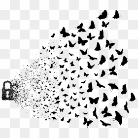 Lock Dissolving Into Butterflies Clip Arts - Flying Picsart Bird Png, Transparent Png - stencil png