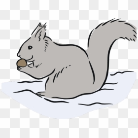 Gray Squirrel Clip Art, HD Png Download - morpankh png