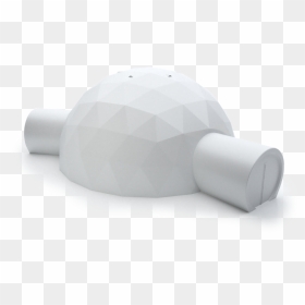 Tortoise, HD Png Download - hayden panettiere png