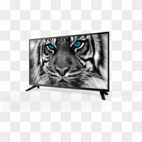 Ledtv32d3t2 - Estar Led Tv 55 D3t2, HD Png Download - hd tv png