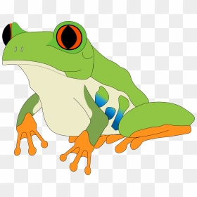Red-eyed Tree Frog, HD Png Download - tree frog png