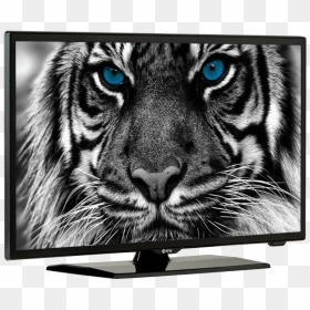 Estar Ledtv 22d4t2 Angle Side - Estar Led Tv, HD Png Download - hd tv png