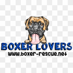 Boxer Lovers Rescue - Boxer, HD Png Download - boxer dog png