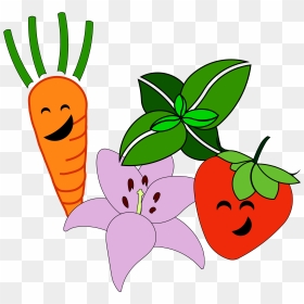 Radish Clipart Transparent - Vegetable, HD Png Download - radish png