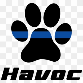 Havoc-pawprint - Graphic Design, HD Png Download - unit circle png