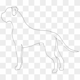 Boxer Dog Png, Transparent Png - boxer dog png
