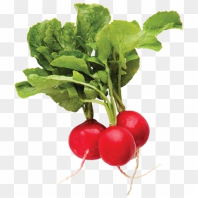 Red Radishes, HD Png Download - radish png