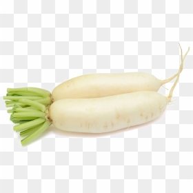 Mooli Png File - Daikon, Transparent Png - radish png