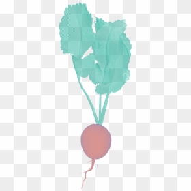 Radish, HD Png Download - radish png