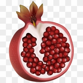 Pomegranate Clipart Pomegranite - Clipart Pomegranate Transparent, HD Png Download - pomegranate seeds png