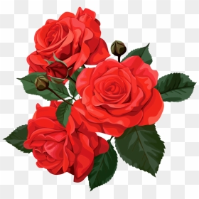 Transparent Bridal Shower Flower Clipart - Roses Png, Png Download - red rose flower border design png