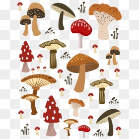Mushrooms Vector Button Mushroom - Illustration Mushroom Vector Png, Transparent Png - button mushroom png