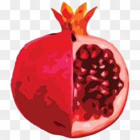 Pomme Granate, HD Png Download - pomegranate seeds png