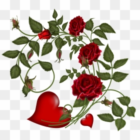 Transparent Rose Vector Png - Transparent Valentines Flowers, Png Download - valentine single roses png