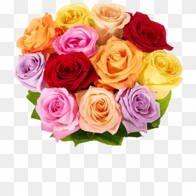 Rose Mothers Day Flowers, HD Png Download - valentine single roses png