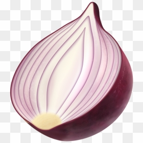 Onion Clipart Png - Clipart Red Onion Transparent, Png Download - onion vector png
