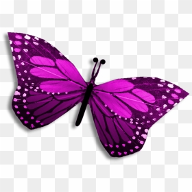 Purple Clipart Editing Picsart Butterfly Pretty Clipart - Clip Art, HD Png Download - picsart clipart png