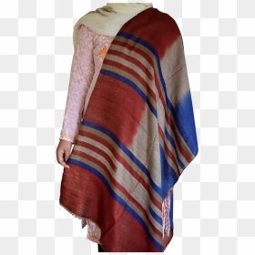 Gi Kashmir Pashmina Tri- Colour Khudrang Alternate - Stole, HD Png Download - tri colour png