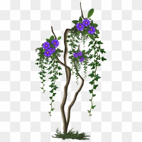 Image Cropped Tree With Flowers Tree - Rosa Glauca, HD Png Download - flowers tree png