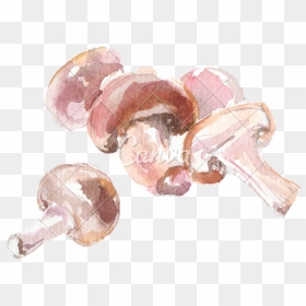 Transparent Trippy Mushroom Png - Mushrooms Watercolor Transparent Png, Png Download - button mushroom png