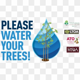 Please Water Me - Graphic Design, HD Png Download - dry trees png