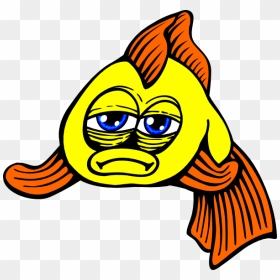 Sad Fish Clipart Png, Transparent Png - golden fish png