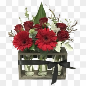 Barberton Daisy, HD Png Download - valentine single roses png