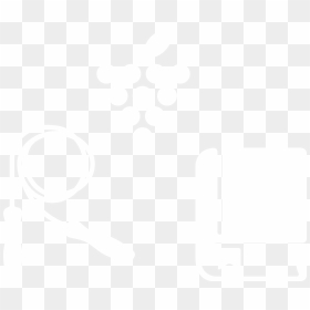 Graphic Design, HD Png Download - ymca png