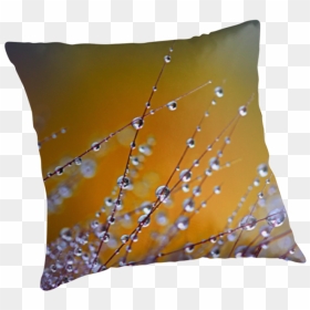 Fountain Grass Png Download - Cushion, Transparent Png - brown grass png