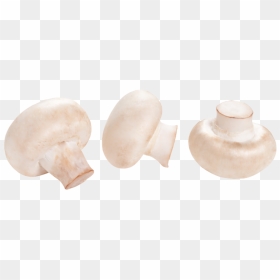 Champignon Mushroom, HD Png Download - button mushroom png