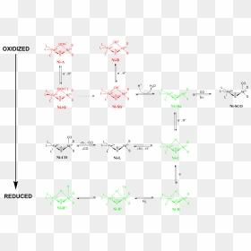 Redox States Of Nife Hydrogenase - Nife Hydrogenase, HD Png Download - nife png