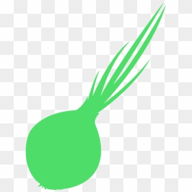 Welsh Onion, HD Png Download - onion vector png