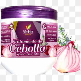 02 Producto - Tratamiento De Cebolla Vitalher, HD Png Download - onion vector png