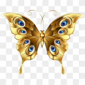 Golden Butterfly Photo - Beautiful Butterfly Clipart Png, Transparent Png - golden fish png