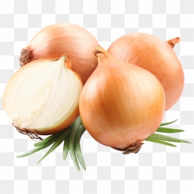 Onion Png Image - Onion Png, Transparent Png - onion vector png