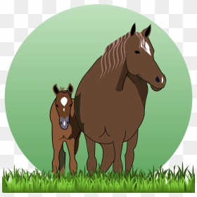 Horse With Foal Clipart Png, Transparent Png - brown grass png