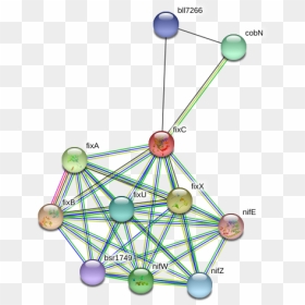 Fixc Protein - Circle, HD Png Download - nife png