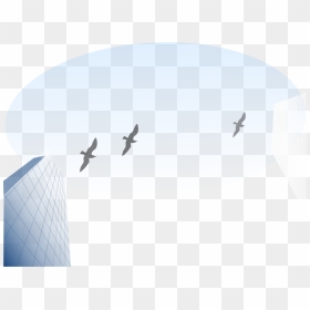 Flock, HD Png Download - office building silhouette png