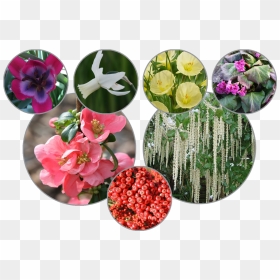 Artificial Flower, HD Png Download - side border designs flowers png